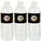 Big Dot of Happiness Roaring 20's - 1920s Art Deco Jazz Party Water Bottle Sticker Labels - Set of 20